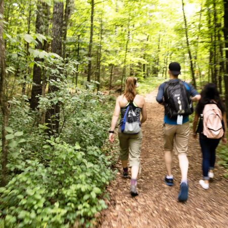 St. Scholastica students hiking in the woods